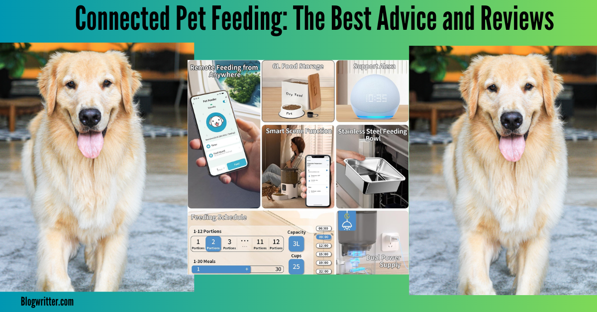 connected pet feeding